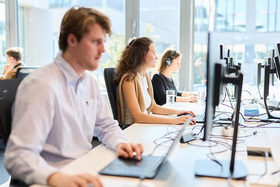 BrightWolves consultants working at their desks